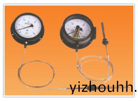 WTZ WTQ壓力式溫(wen)度計(ji)