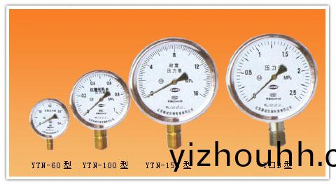 YTN係(xi)列耐(nai)震(zhen)壓(ya)力錶(biao)係列不(bu)鏽(xiu)鋼壓力(li)錶(biao)